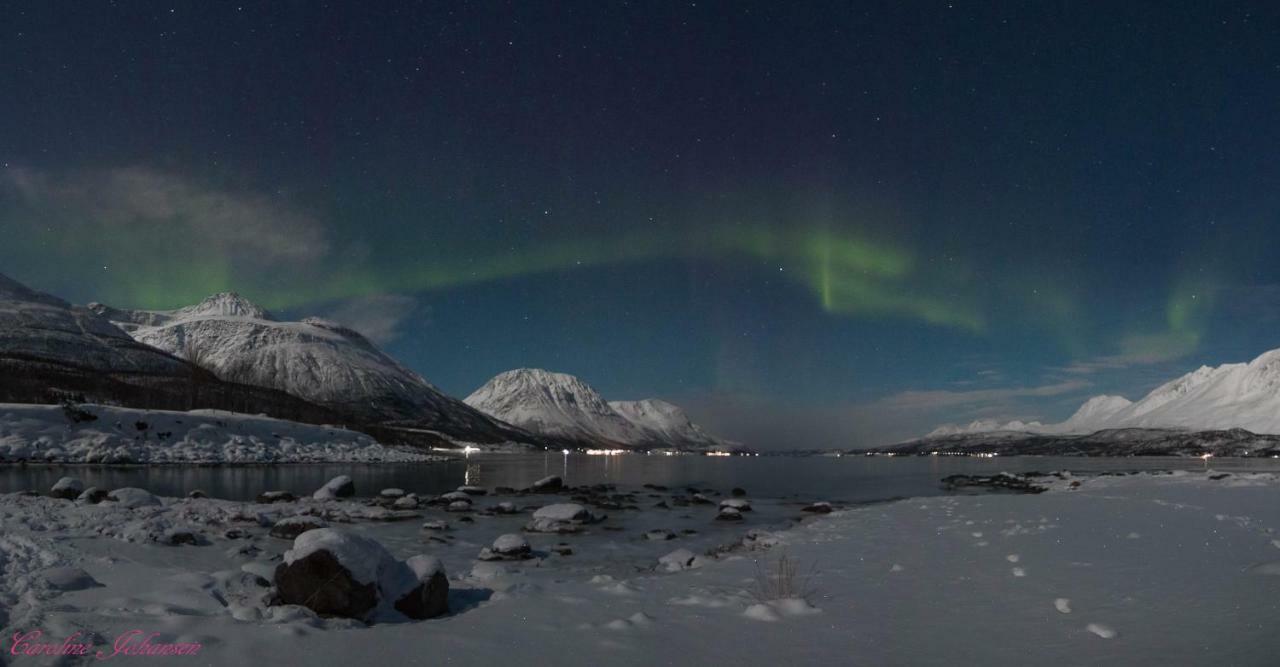 Sjursnes Fjordferie Appartement Buitenkant foto