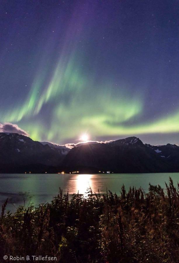 Sjursnes Fjordferie Appartement Buitenkant foto