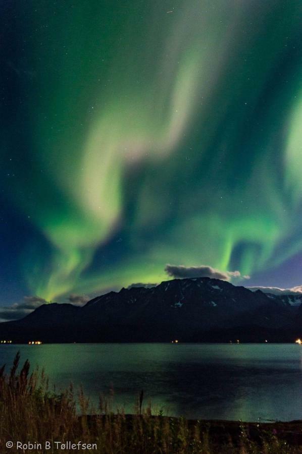 Sjursnes Fjordferie Appartement Buitenkant foto