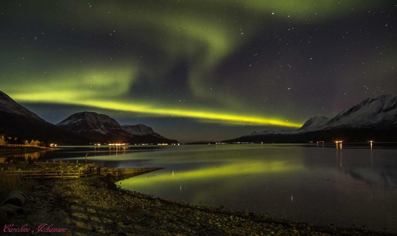 Sjursnes Fjordferie Appartement Buitenkant foto