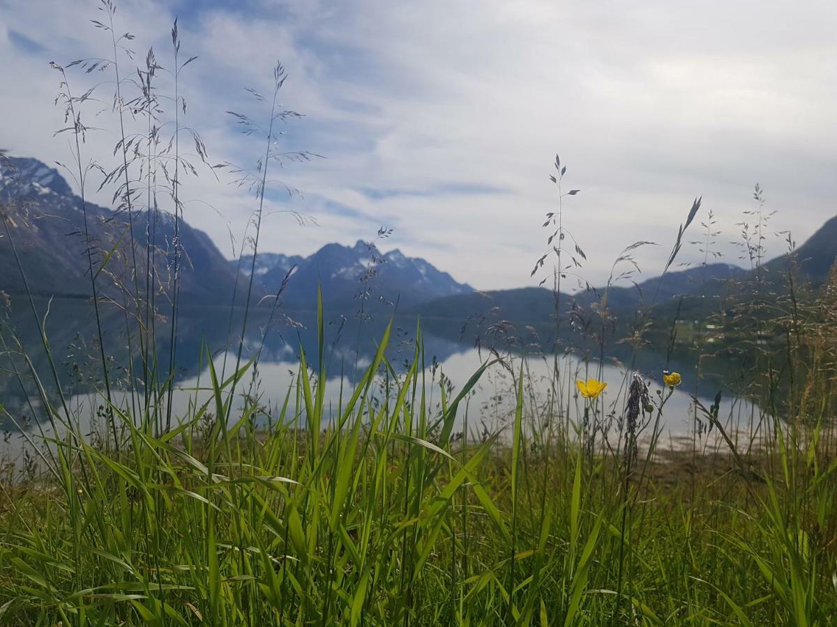 Sjursnes Fjordferie Appartement Buitenkant foto